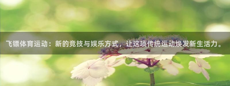 3377体育官方正版app娱乐下载：飞镖体育运动：新