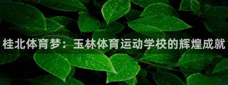 3377体育官网下载平台是正规平台吗安全吗：桂北体育