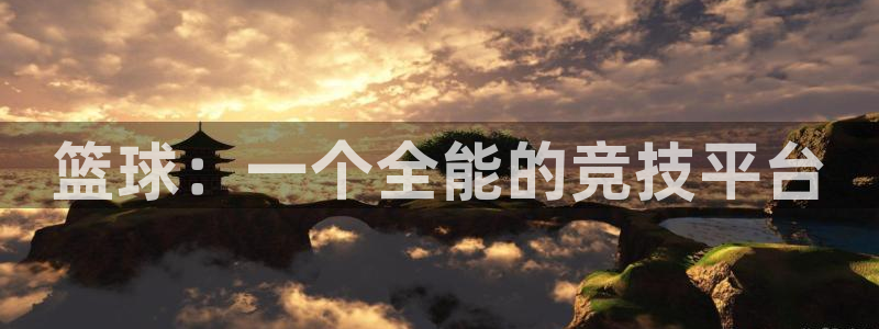 3377体育官方正版app集团简介：篮球：一个全能的
