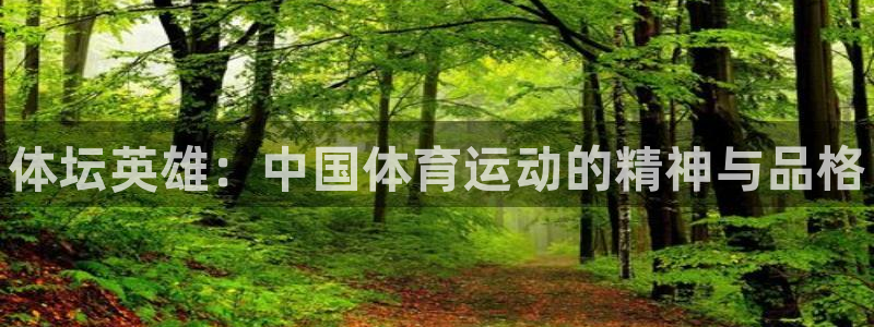 3377体育官方正版app集团E.ON：体坛英雄：中
