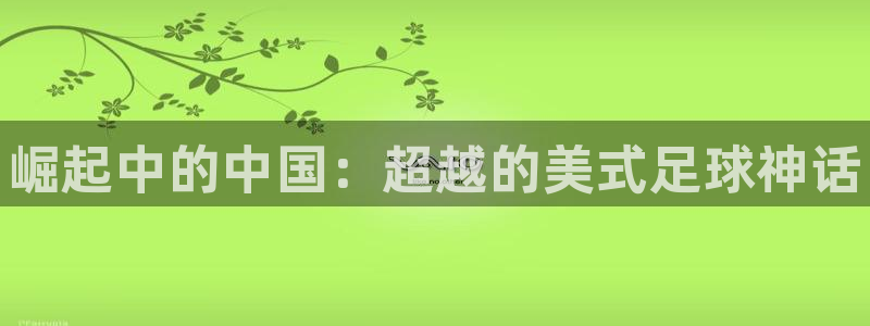 3377体育官方正版app新能源：崛起中的中国：超越
