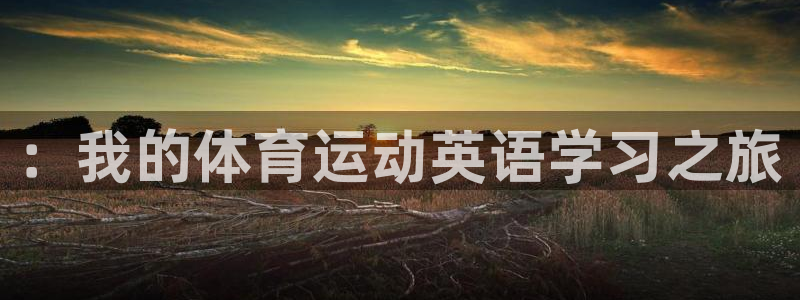 3377体育官网下载招商电话：：我的体育运动英语学习