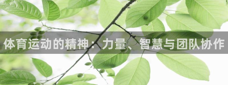 3377体育官网下载平台假的吗是真的吗：体育运动的精