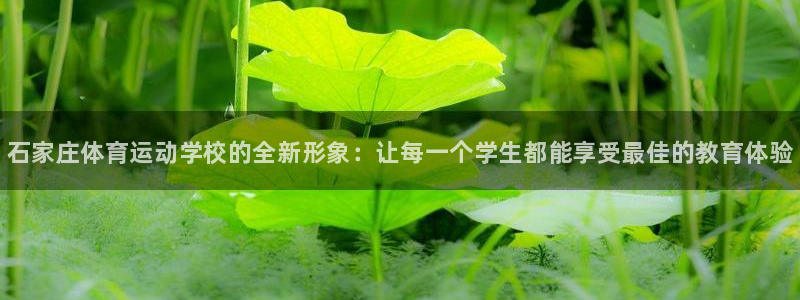 3377体育官网下载招商电话号码是多少：石家庄体育运