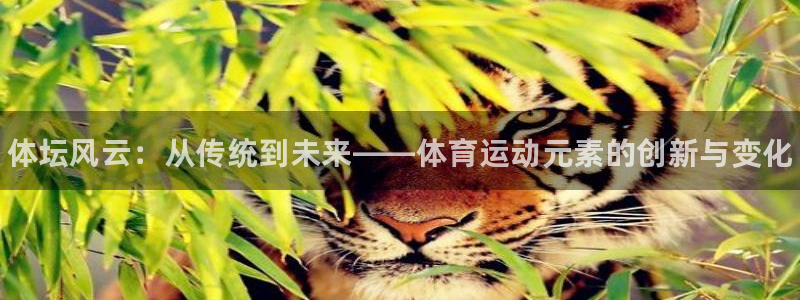 3377体育官方正版app娱乐：体坛风云：从传统到未来——体