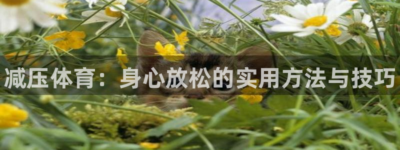 3377体育官方集团官网：减压体育：身心放松的实用方