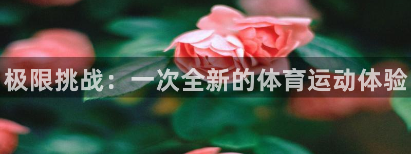 3377体育官网下载平台是正规平台吗安全吗