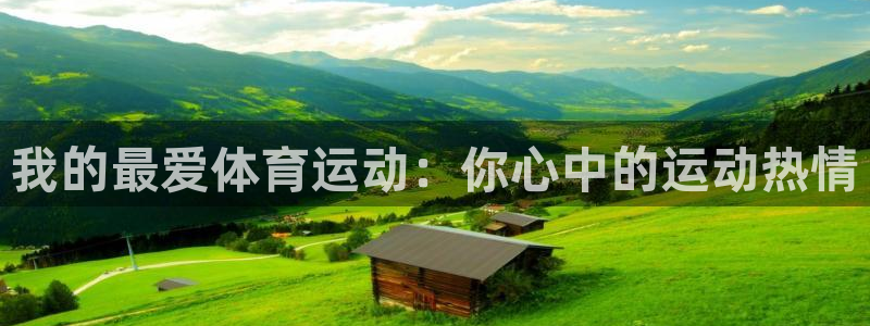 3377体育官方正版app官网：我的最爱体育运动：你心中的运