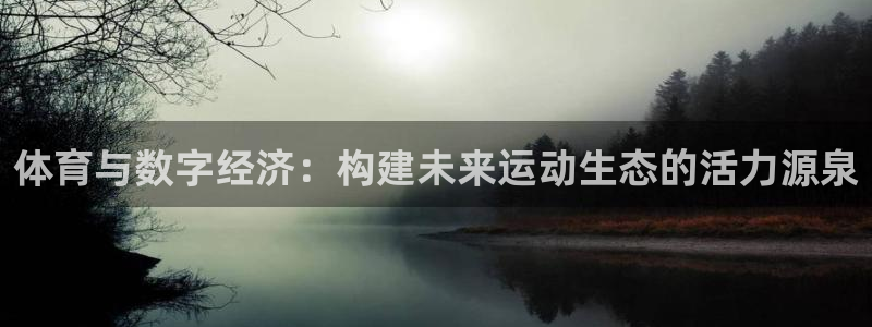 3377体育官网下载平台注册流程图：体育与数字经济：