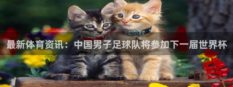 3377体育官网下载平台注册：最新体育资讯：中国男子足球队将