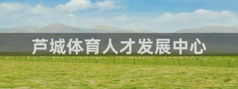 3377体育官方正版app集团官网首页：芦城体育人才发展中心