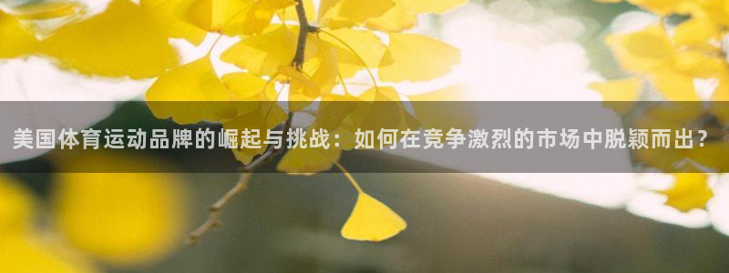 3377体育官网下载招商电话是多少号码