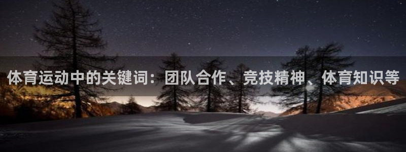 3377体育什么台子：体育运动中的关
