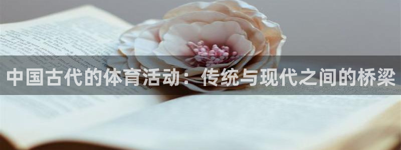3377体育手机平台