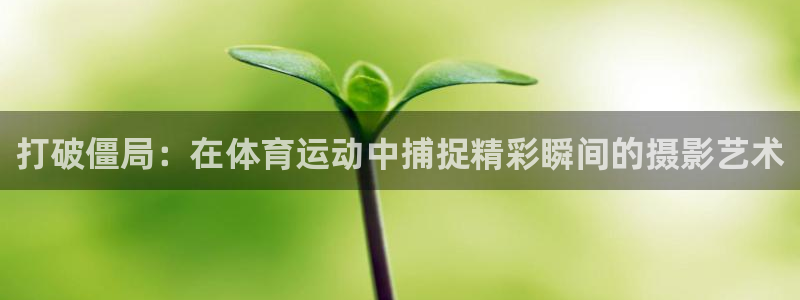 3377体育什么台子：打破僵局：在体
