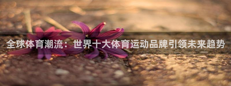  3377体育属于国家打击范围吗：全球体育潮流：世界十大体育运