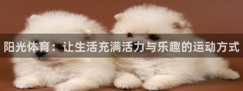 3377体育是正规平台吗：阳光体育：