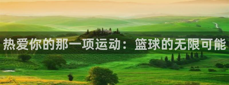 3377体育是正规平台吗：热爱你的那一项运动：篮球的无限可能