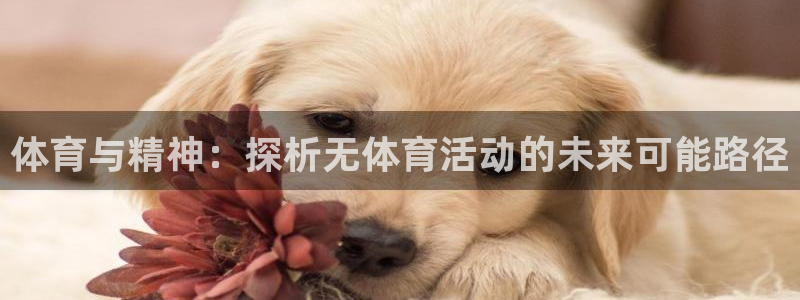 3377体育十大必吃榜：体育与精神：探析无体育活动的未来可能