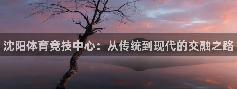 3377体育电子：沈阳体育竞技中心：