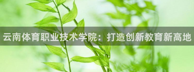  3377体育app属不属于病毒应用：云南体育职业技术学院：打