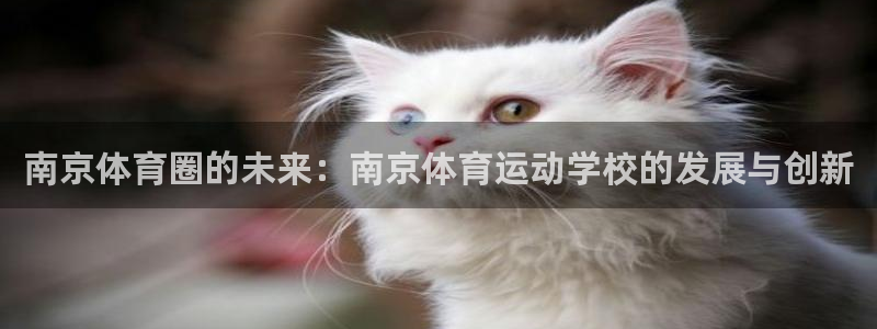 3377体育是正规平台吗还是黑金：南京体育圈的未来：南京体育