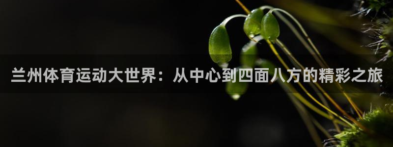 3377体育手机平台：兰州体育运动大