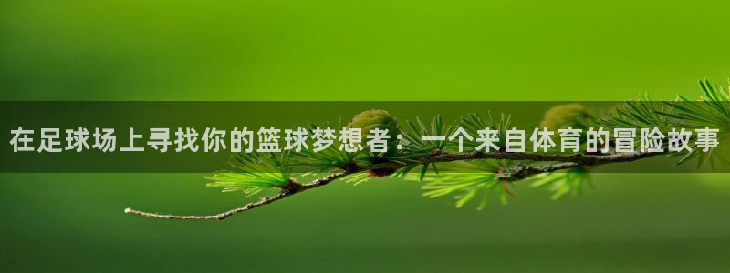  3377体育被国家取消了吗现在：在足球场上寻找你的篮球梦想者