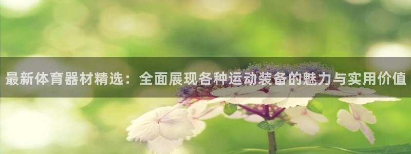 3377体育是哪的：最新体育器材精选