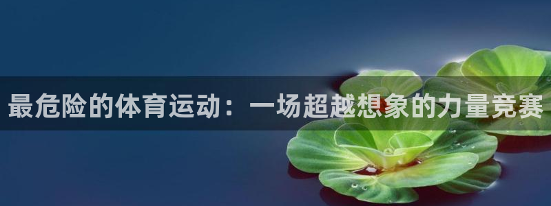 3377体育犯法吗
