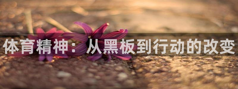 3377体育官网下载平台是正规平台吗安全吗：体育精神：从黑板