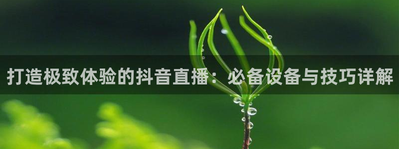 河豚体育nba直播下载