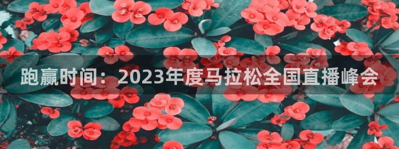 nba河豚体育直播