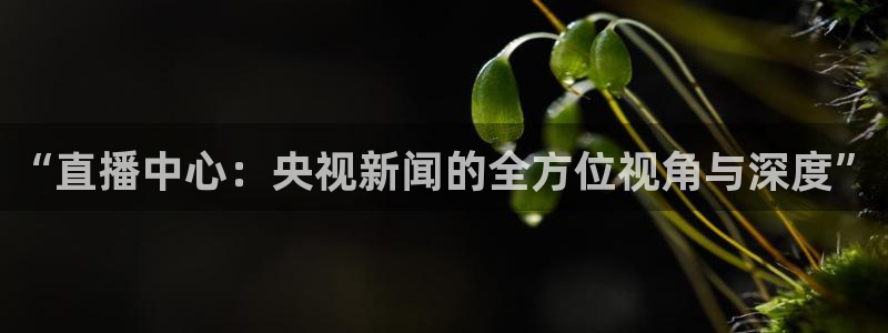 河豚nba直播