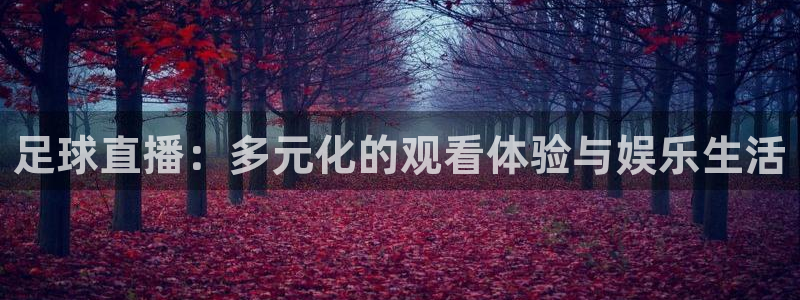 河豚体育直播app官网下载