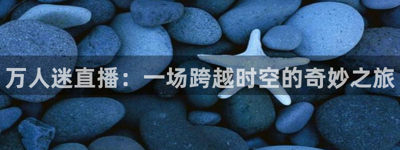 河豚nba篮球直播在线观看：万人迷直播：一场跨越时空的奇妙之旅