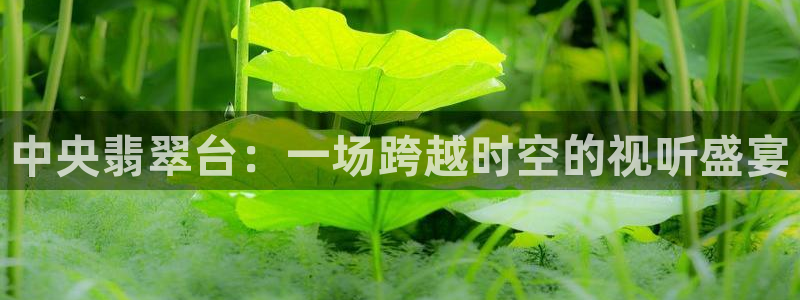 河豚体育app官方下载：中央翡翠台：一场跨越时空的视听盛宴