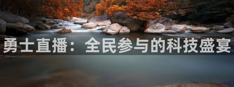 河豚体育nba直播下载：勇士直播：全民参与的科技盛宴
